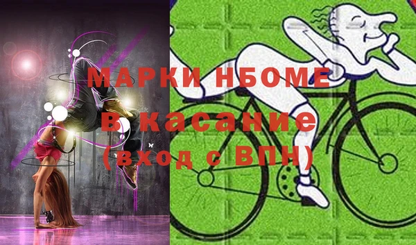 дурь Пестово