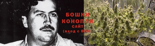 дурь Пестово